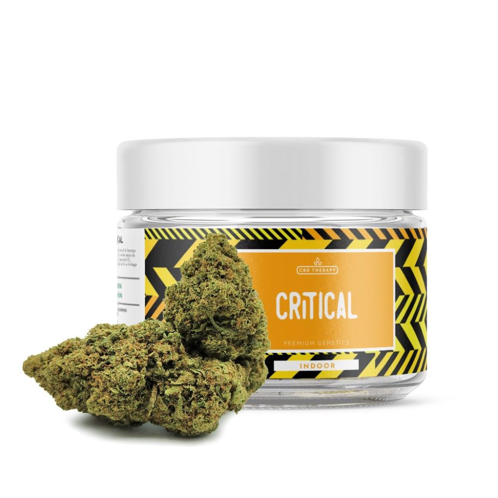 Critical CBD - CBD Shop Online für Cannabis und legales Kraut - CBD Therapie